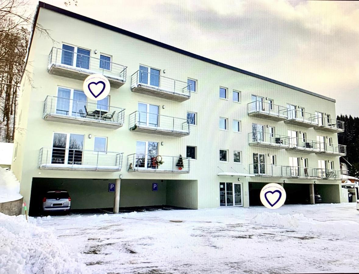 Apartman S Vyhlidkou Горни-Маршов Экстерьер фото